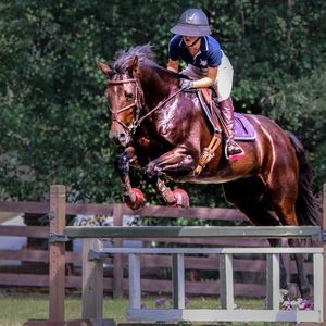 Meet your Posher, Ali